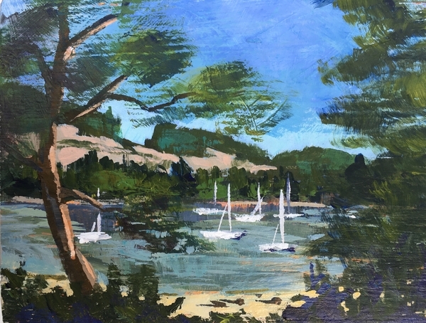 Safe Harbour Montague